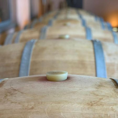 مبيت وإفطار Berneuil  Domaine Chez Les Rois المظهر الخارجي الصورة
