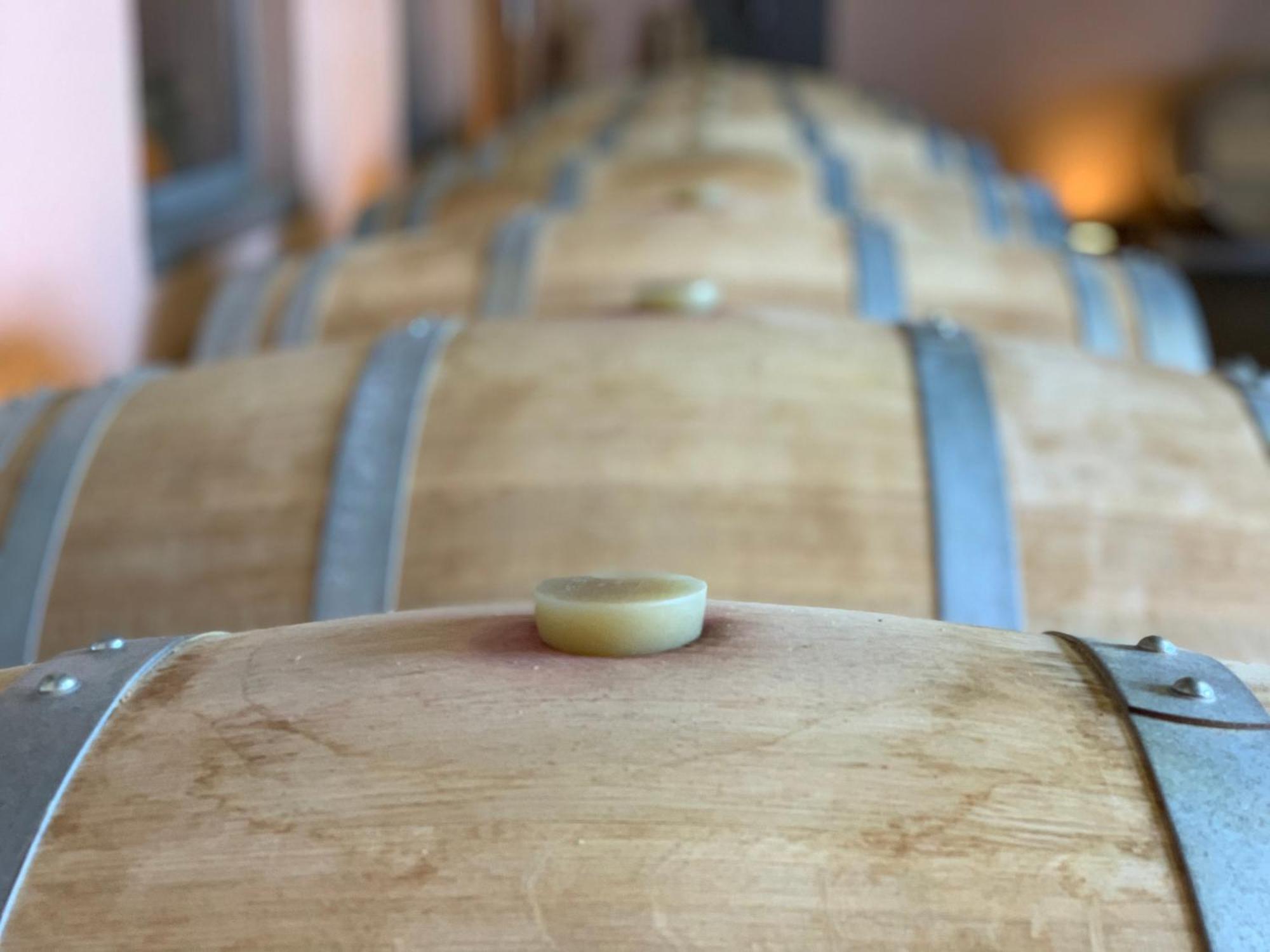 مبيت وإفطار Berneuil  Domaine Chez Les Rois المظهر الخارجي الصورة