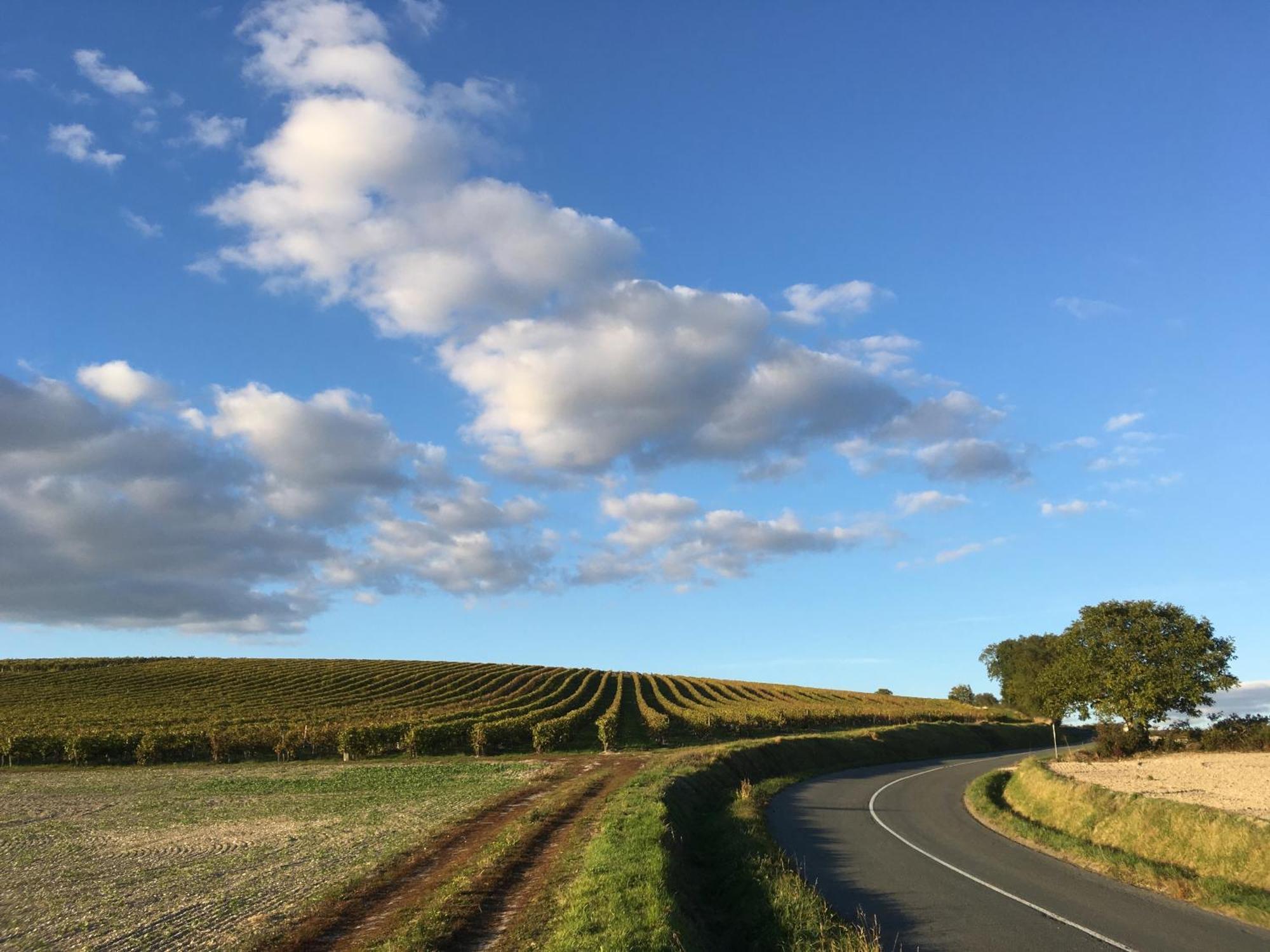 مبيت وإفطار Berneuil  Domaine Chez Les Rois المظهر الخارجي الصورة